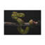 «Snake Hunting Snake on Hunt», reproduction d'art mural