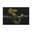 No Frame Print on Canvas-1062809480