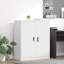 Storage Cabinet-498829026