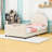 Twin Upholstered Daybed with Rabbit Ear Headboard and Sturdy Slats-1345403464