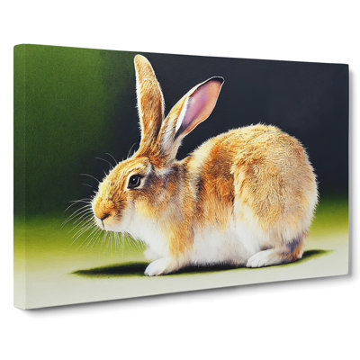 Watercolour Rabbit - Wrapped Canvas