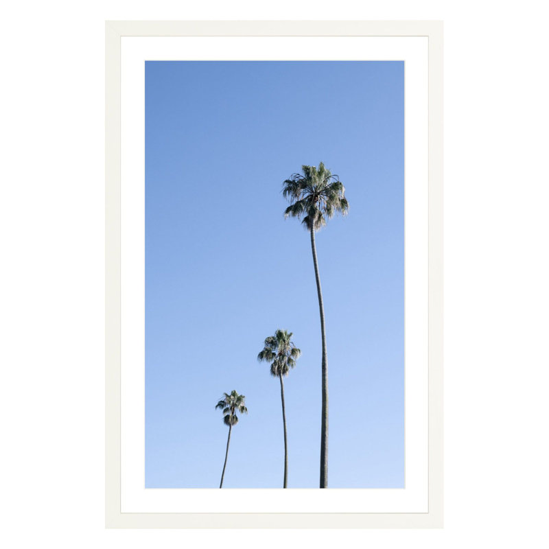 Triple Palm by Amanda Anderson, White, 42" H x 28" W x 2.25" D
