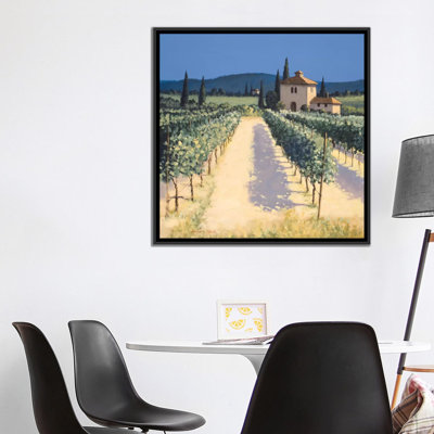 " Vineyard Shadows " by David Short