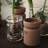 Neck Vase-127664476-127664478