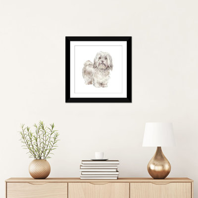Bichon havanais cubain par Wandering Laur - reproduction d'art sur toile tendue