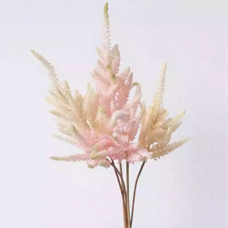 Blush Astilbe, Soft Pink Medium, [D] 12 tiges