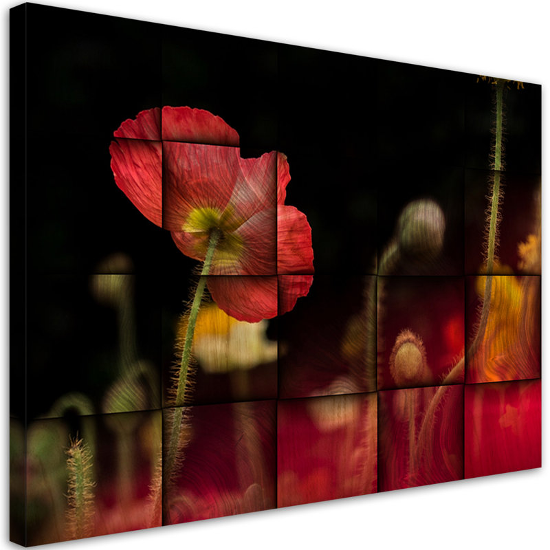 Red Poppy - No Frame Print on Canvas, 70cm H x 100cm W