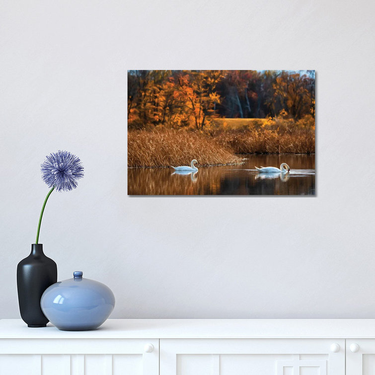 Fall Duet by David Gardiner - Rectangle Print on Canvas