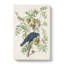 American Crow by John Audubon - Wrapped Canvas Painting-55368642