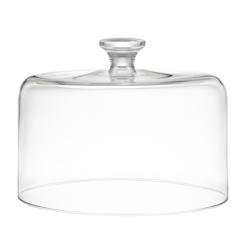 Winston Porter Craignamaddy Glass Cover