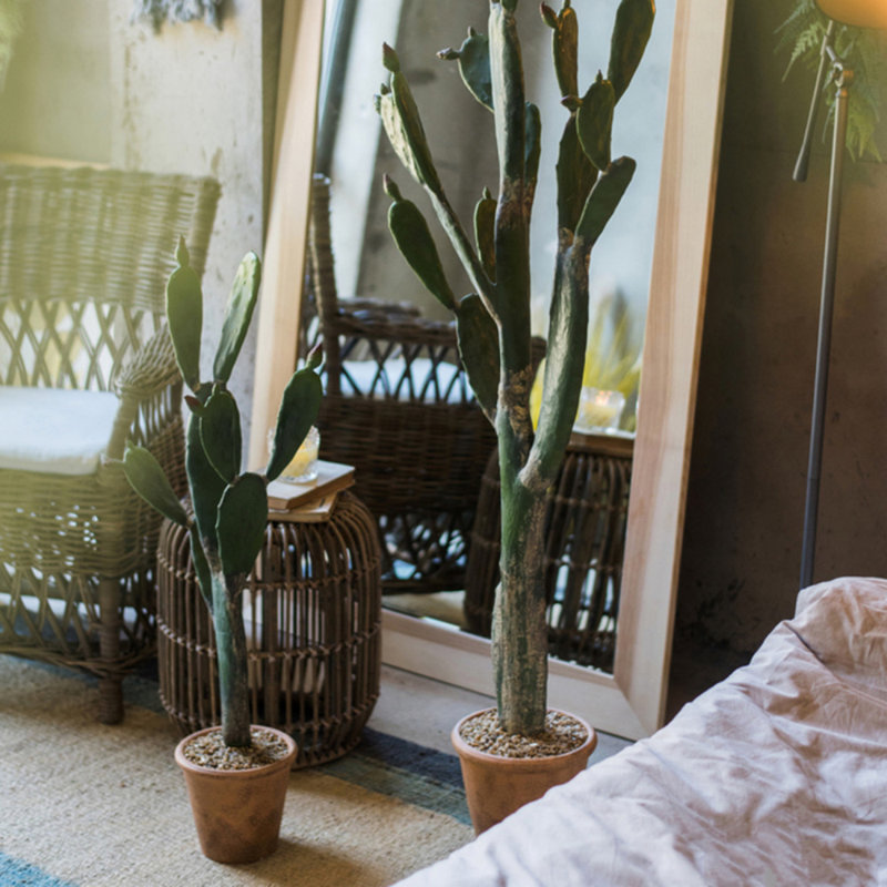 59'' Faux Cactus Plant in Cement Planter