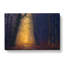 Golden Forest Pathway In Abstract - Wrapped Canvas Print-55314553