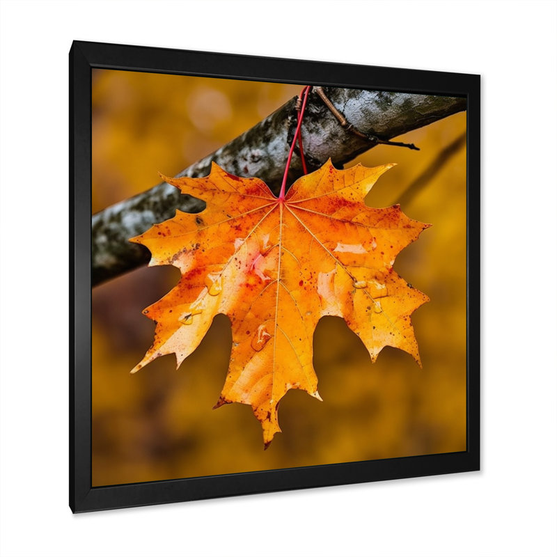 «Canadian Mapple Tree Leaves II», reproduction sur toile, H 36 po x l 36 po x P 1,5 po, Cadre photo noir