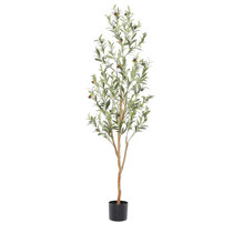 Olive Tree Faux Trees You'll Love