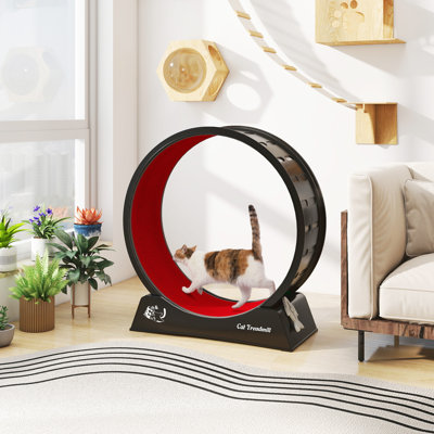 Tapis roulant pour chat, roue d'exercice verrouillable, jouet