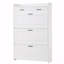 Shoe Cabinet, Storage Shoe Two Drawer, Drawers, Three-Fold Doors, Large-677960537