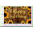 Boho Daisy Balloon Garland Kit 221 pcs