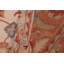 Tapis ivoire unique de 12 pi 9 po x 16 pi 7 po Kellyanna par Arshs Fine Rugs