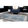 Patino Floral Indoor Rug