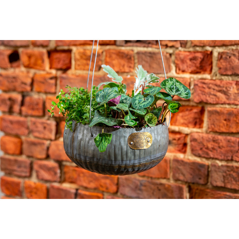 Rish Metal Hanging Planter