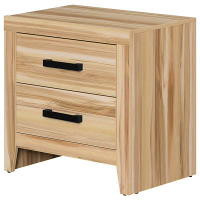 Elaisha 2-Drawer Manufactured Wood End Table