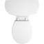 Kingston 1.28 GPF (Water Efficient) Round Two-Piece Toilet (Seat Not Included)-1807143226