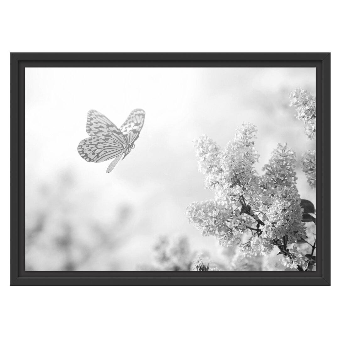 Gerahmtes Wandbild Schmetterling Kirschblüten