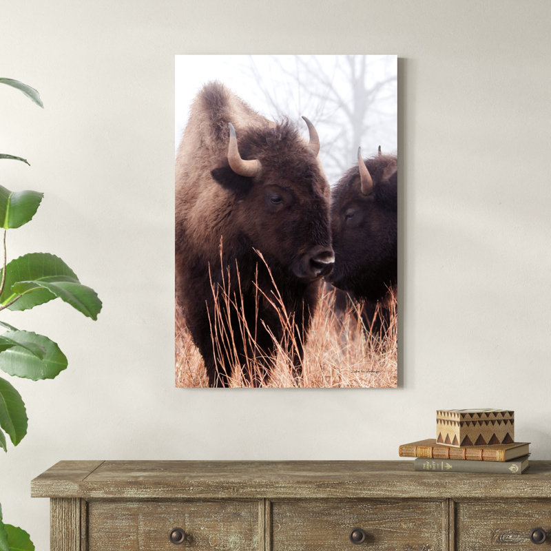 Bison d'Amérique VI, H 36 po x l 24 po