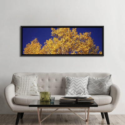 «Colorado», reproduction de photo sur toile