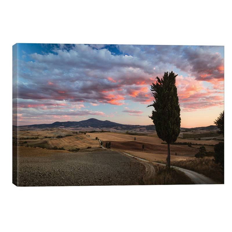 Matteo Colombo - Wrapped Canvas Print, 66.04 cm H x 45.72 cm W x 1.91 cm D
