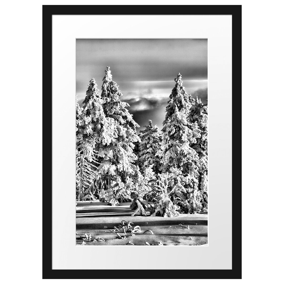 Gerahmtes Poster Winterwald