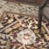 Evie Hand Tufted Wool Oriental Rug