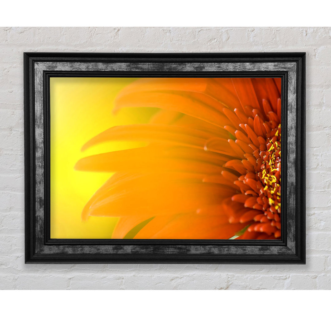 Orange Flower Mist - Einzelner Bilderrahmen Kunstdrucke