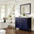 Odilion 44" Double Bathroom Vanity Set-365653867