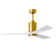 Patricia Ceiling Fan with LED Lights