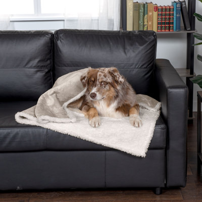 Snuggly & Warm Soft-Edge Warming Waterproof Blanket