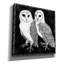 «Arsenic and Old Lace Bw No Words 4» par Wild Apple Portfolio, art mural sur toile, 37 po x 37 po-1316388380
