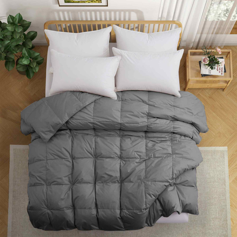 Édredon en duvet de coton biologique toutes saisons Puredown, Édredon très grand californien, Gris