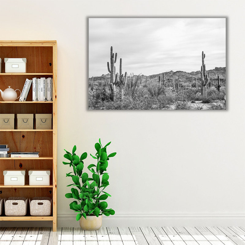 «Sonoran Wonderland Black and White», reproduction d'art sur toile, H 20 po x l 30 po