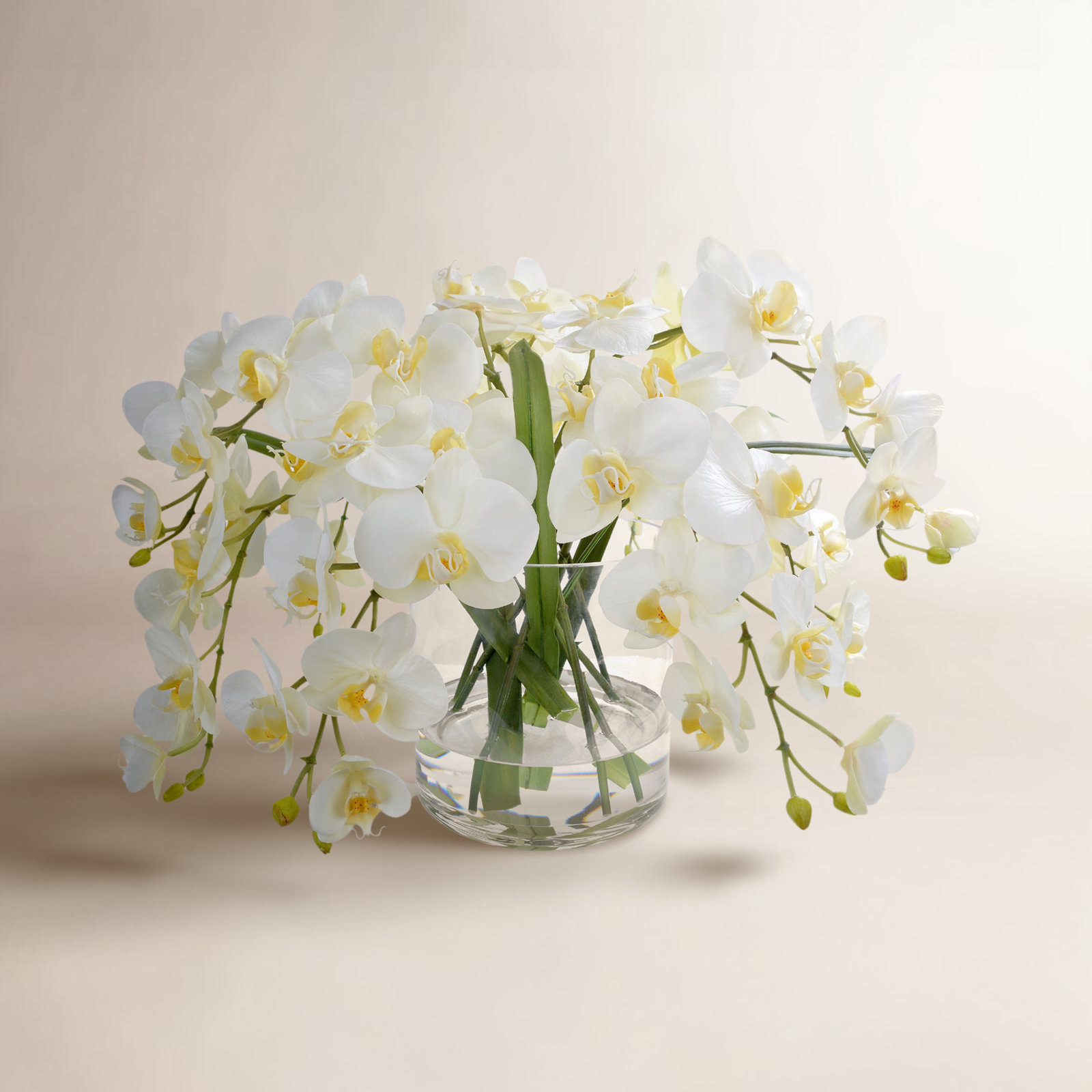 Orchid Floral Arrangement