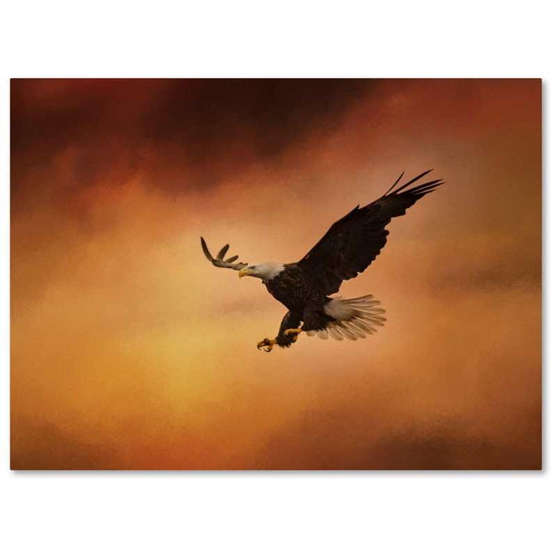 No Fear Eagle Canvas Print in Brown and Beige