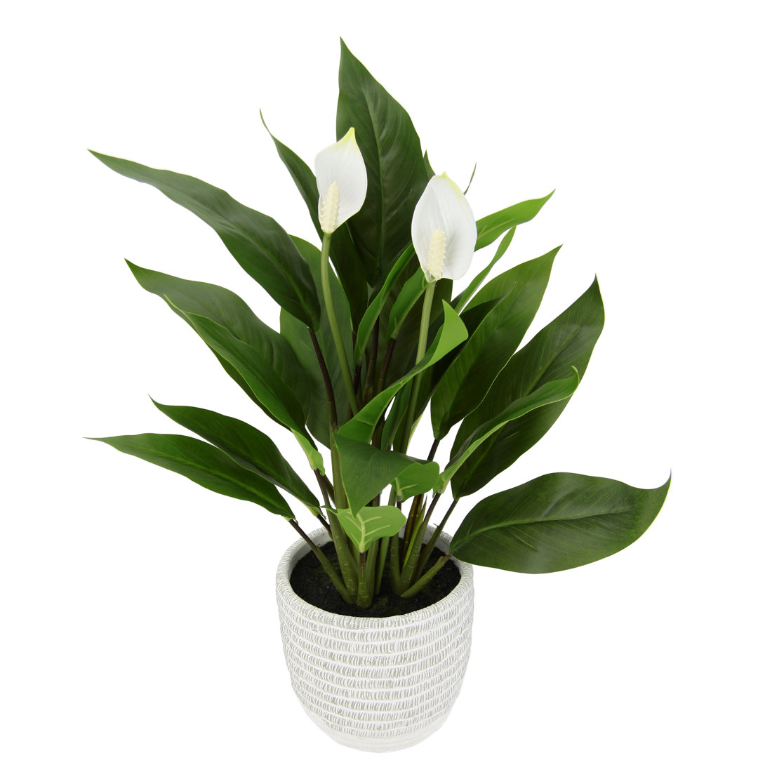 Kunstpflanze Spathiphyllum Künstliche Spathiphyllumpflanze Im Topf Anthurie Calla Flamingoblume Flamingo Blume Exotische...