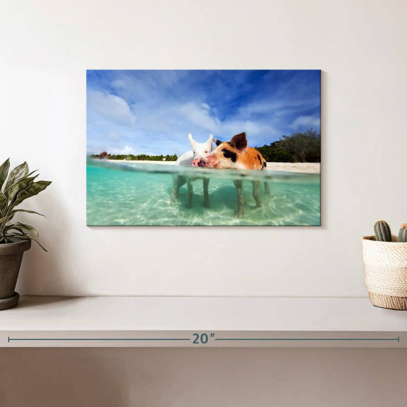 Brampt Pigs Bahamas Life, H 8 po x l 12 po