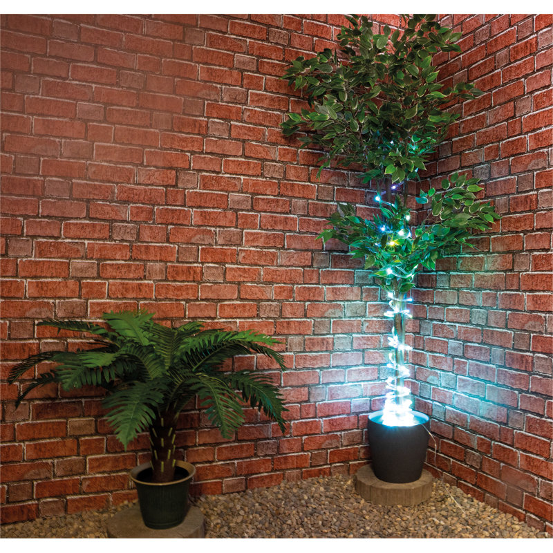 600cm LED Rope Lights
