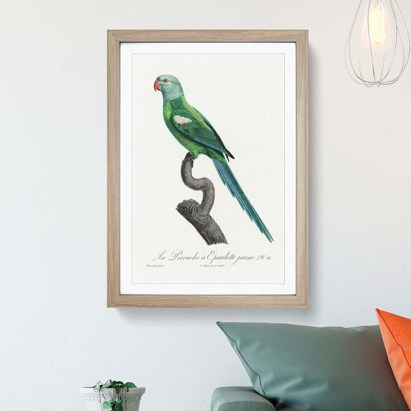 Yellow-Shouldered Amazon Macaw Parrot by F. Levaillant - Picture Frame Graphic Art Print, Oak Framed, 36cm H x 27cm W x 2cm D