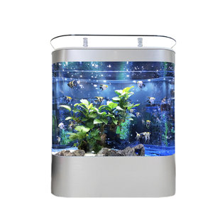 Aquarium Minimalist
