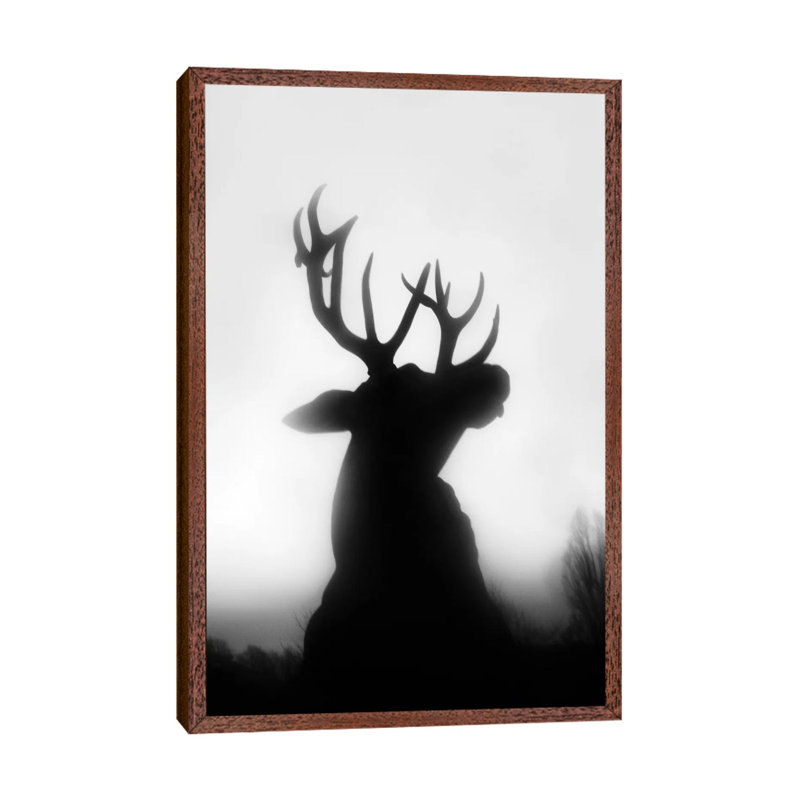 Roar by Dorit Fuhg - Print on Canvas, Classic Brown Wood Framed, 101.6 cm H x 66.04 cm W