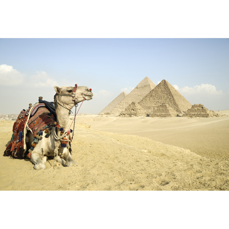 Pyramids From Giza Plateau by Dani3315 - Wrapped Canvas Print, 91cm H x 91cm W