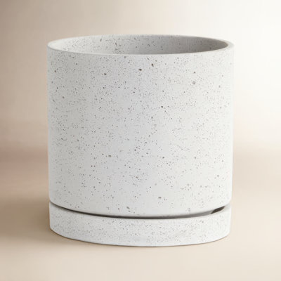 Concrete Pot Planter