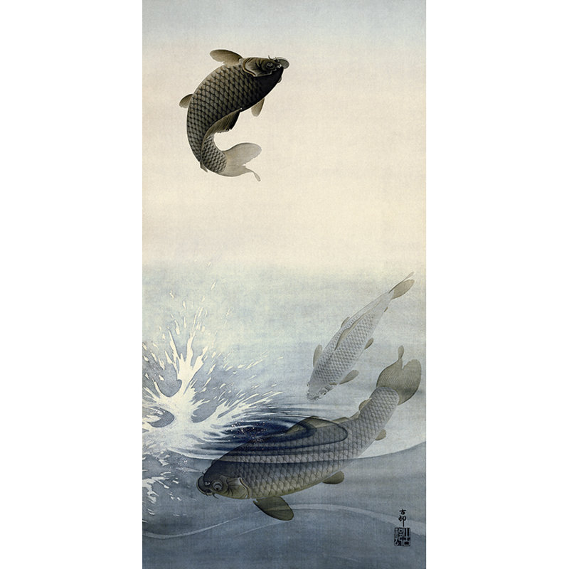 Carp - Wrapped Canvas Print